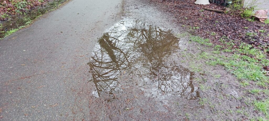 Large edge puddle